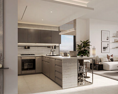 Galería Miniatura 4